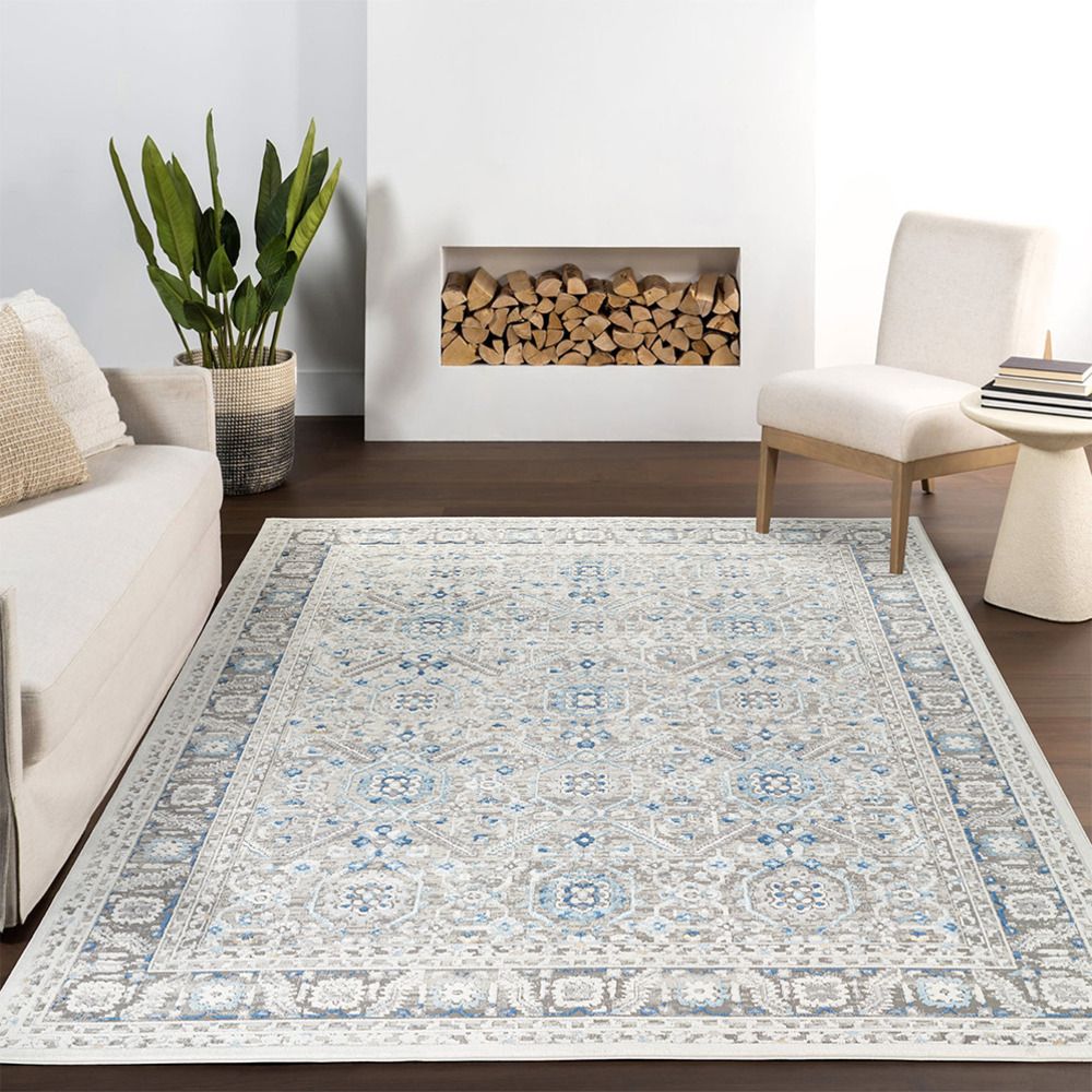 Efes Grey Area Rug