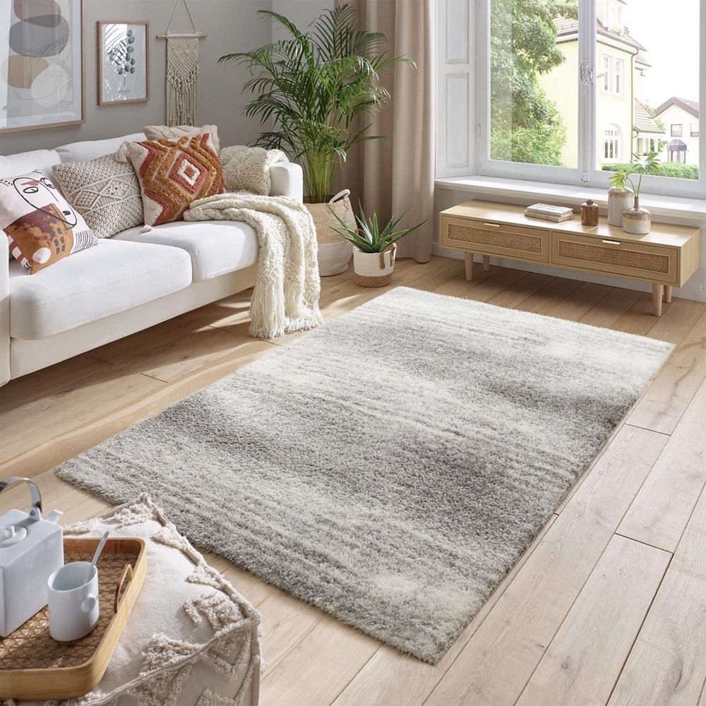 Shag Grey Area Rug