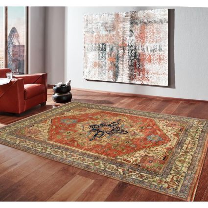 Serapi Rust Area Rug, 